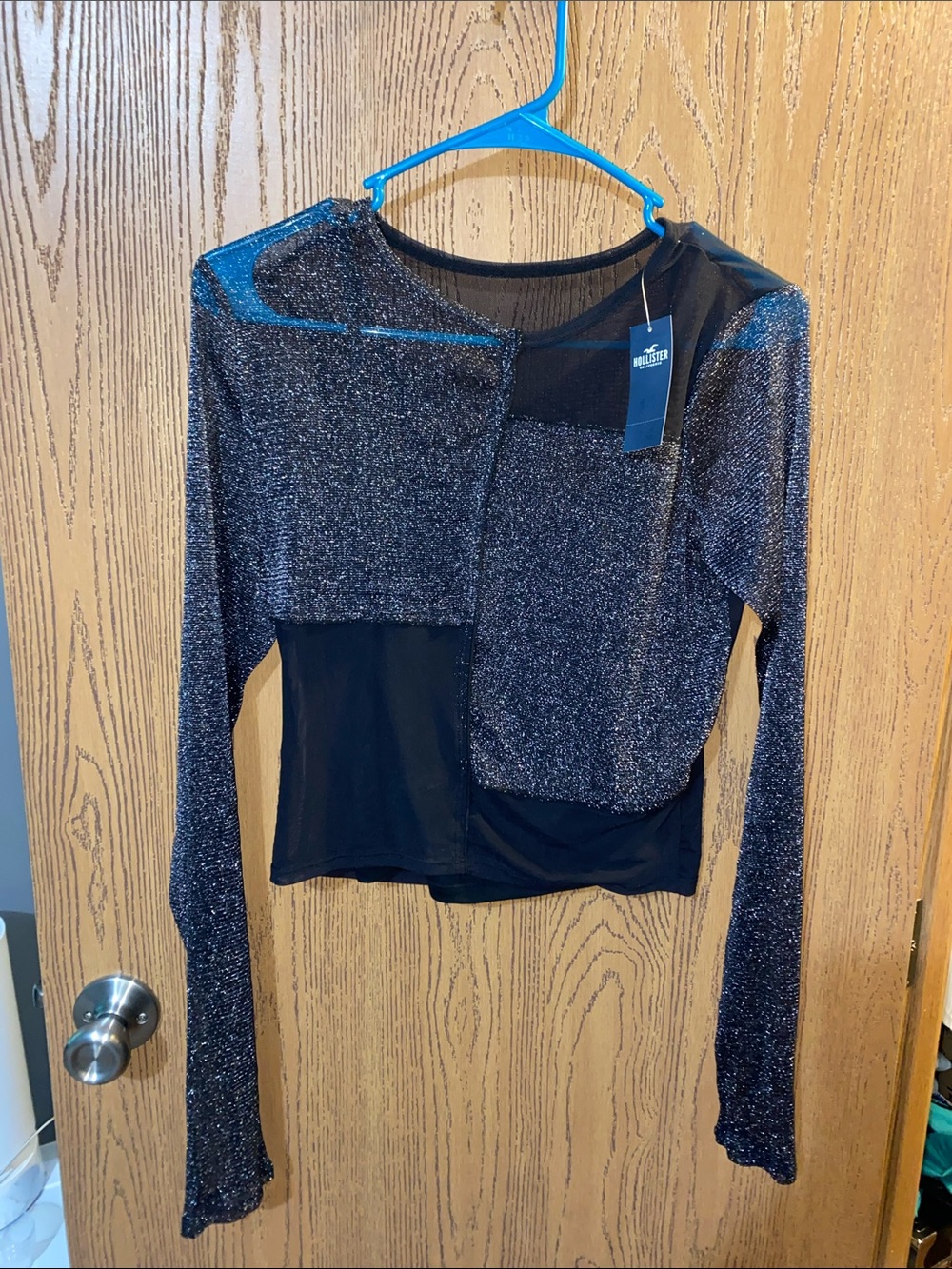 Hollister Mesh Long-Sleeve Top